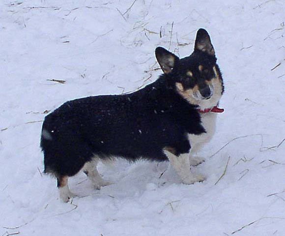 poco-1-19-09.jpg